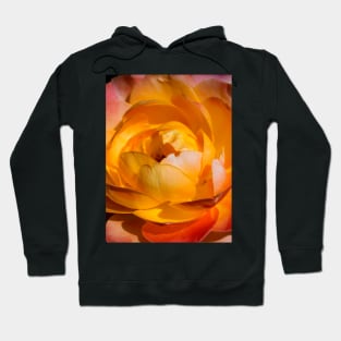 Single Orange Rose Hoodie